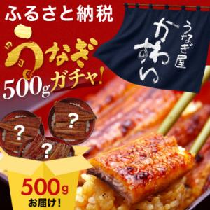 ふるさと納税 有田市 【訳あり】国産うなぎガチャ福袋!国産うなぎが500g入り
