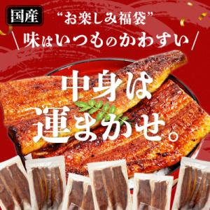 ふるさと納税 有田市 【訳あり】国産うなぎガチ...の詳細画像1