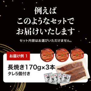 ふるさと納税 有田市 【訳あり】国産うなぎガチ...の詳細画像2