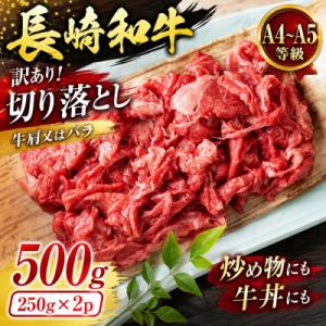 ふるさと納税 佐世保市 【A4〜A5】訳あり!長崎和牛切り落とし 500g(250g×2p)