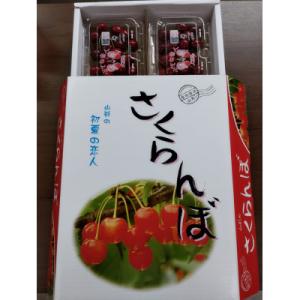 ふるさと納税 中山町 【令和9年産先行受付】山形県中山町産「紅さやか」秀品　M/Lサイズ　約800g...