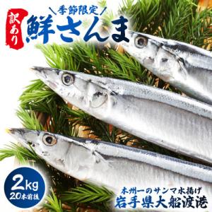 ふるさと納税 大船渡市 訳あり 鮮さんま 2kg [oikawa015_y]