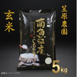 ふるさと納税 南魚沼市 【令和7年産】南魚沼産コシヒカリ 玄米 5kg
