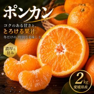 ふるさと納税 松山市 【安心して選べる】昔ながらの美味しさ【ポンカン】2kg　愛媛県産