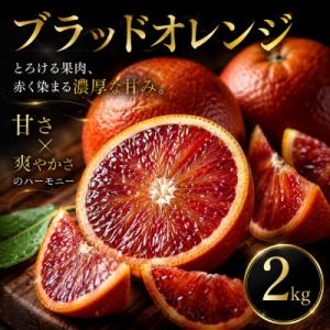 ふるさと納税 松山市 【いま注目されています】ワインのような深み【ブラッドオレンジ】2kg　愛媛県産