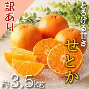 ふるさと納税 八幡浜市 愛媛の柑橘の代名詞!「せとか」訳あり約3.5kg入【28-49】