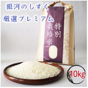 ふるさと納税 花巻市 【令和8年産米先行予約】銀河のしずく 厳選プレミアム(無洗米)10キロ