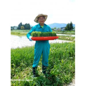 ふるさと納税 花巻市 【令和8年産米先行予約】...の詳細画像2