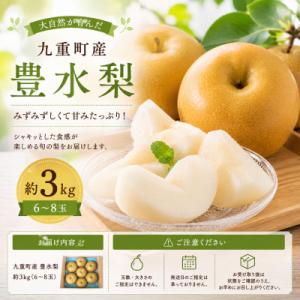ふるさと納税 九重町 【2026年8月中旬より...の詳細画像2