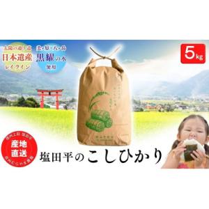 ふるさと納税 上田市 塩田平のコシヒカリ精米5kg[54041694]