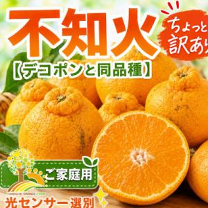 ふるさと納税 九度山町 【少し訳あり】こだわりの不知火 約10kg サイズ混合 (nuk010-c-10A)