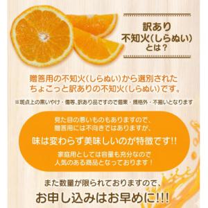 ふるさと納税 九度山町 【少し訳あり】こだわり...の詳細画像1