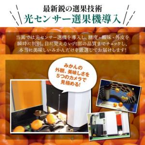 ふるさと納税 九度山町 【少し訳あり】こだわり...の詳細画像2