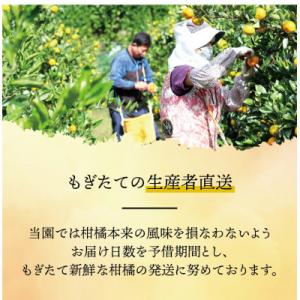 ふるさと納税 九度山町 【少し訳あり】こだわり...の詳細画像3