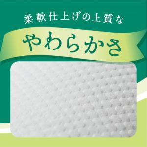 ふるさと納税 行田市 【ダブル】エリエール ト...の詳細画像2