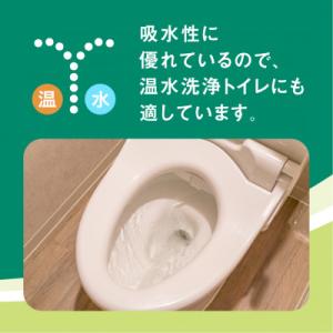 ふるさと納税 行田市 【ダブル】エリエール ト...の詳細画像3