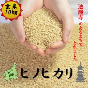 ふるさと納税 斑鳩町 世界遺産「法隆寺」のあるまちで採れた玄米【ヒノヒカリ】10kg　令和7年産