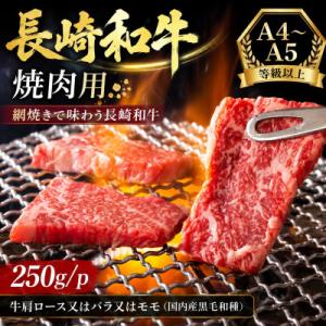 ふるさと納税 松浦市 【A4〜A5】長崎和牛焼肉用 250g