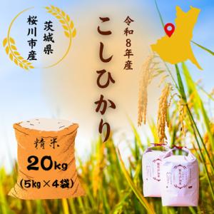 ふるさと納税 桜川市 【生産者支援】《令和8年産先行予約》桜川市産こしひかり 計20kg(5kg×4袋)