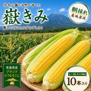 ふるさと納税 青森県 とうもろこし 朝採り 嶽きみ(だけきみ) 10本 L〜2Lサイズ 冷蔵