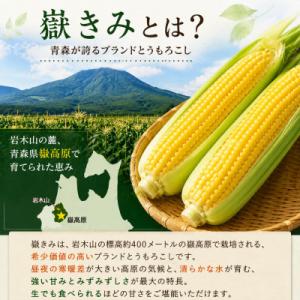 ふるさと納税 青森県 とうもろこし 朝採り 嶽...の詳細画像1