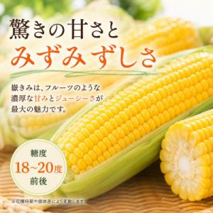 ふるさと納税 青森県 とうもろこし 朝採り 嶽...の詳細画像2