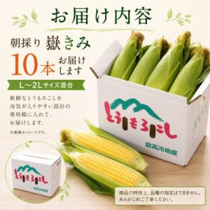 ふるさと納税 青森県 とうもろこし 朝採り 嶽...の詳細画像3