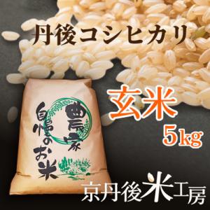 ふるさと納税 京丹後市 【先行予約】2026年産 京丹後産コシヒカリ 玄米5kg