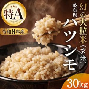 ふるさと納税 羽島市 【先行予約】令和8年産　岐阜県産ハツシモ(玄米)30kg