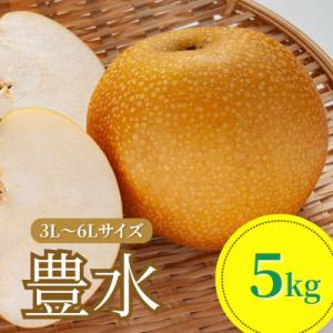 ふるさと納税 鶴岡市 【令和8年産先行予約】 豊水　(和梨)　3L〜6Lサイズ　5kg