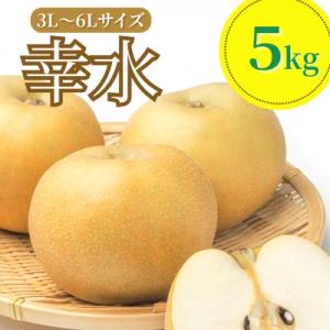 ふるさと納税 鶴岡市 【令和8年産先行予約】 幸水　(和梨) 3L〜6Lサイズ　5kg