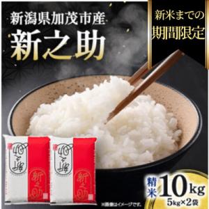 ふるさと納税 加茂市 【期間限定・個数限定】令和7年産　新之助　精米10kg(5kg×2袋)　特別企画