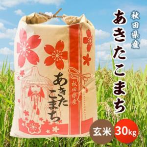 ふるさと納税 潟上市 【新米先行受付】令和8年産 秋田県産あきたこまち 30kg(玄米)