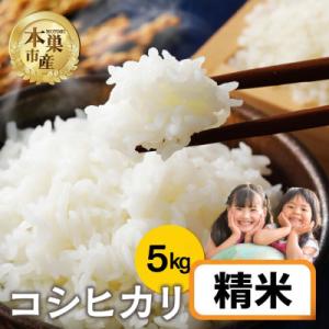 ふるさと納税 本巣市 【新米先行受付】令和8年産 コシヒカリ 5kg 精米