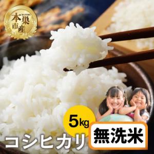 ふるさと納税 本巣市 【新米先行受付】令和8年産 コシヒカリ 5kg 無洗米