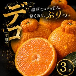 ふるさと納税 松山市 【早い者勝ち】深い甘み【デコ(不知火)(デコポンと同品種)】3kg　愛媛県産