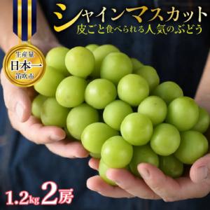ふるさと納税 笛吹市 【2027先行】 シャインマスカット2房 約1.2kg 皮ごと食べられる人気のぶどう 笛吹市