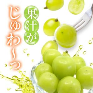 ふるさと納税 笛吹市 【2027先行】 シャイ...の詳細画像1