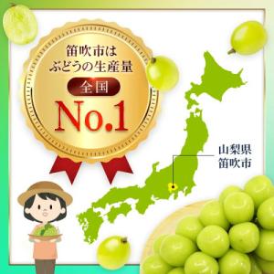 ふるさと納税 笛吹市 【2027先行】 シャイ...の詳細画像2