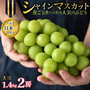 ふるさと納税 笛吹市 【2027先行】シャインマスカット2房 約1.4kg 大房 皮ごと食べられる人気のぶどう 笛吹市