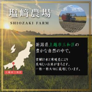 ふるさと納税 上越市 先行予約【10月中旬より...の詳細画像1