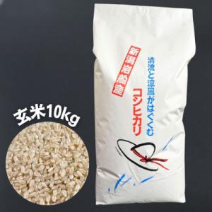 ふるさと納税 村上市 【令和7年産米】新潟県村上市 岩船産コシヒカリ 玄米 10kg×1袋　1100002