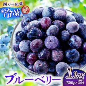 ふるさと納税 四万十町 【訳あり】シャーベット感覚!四万十町産 冷凍ブルーベリー1kg(500g×2...