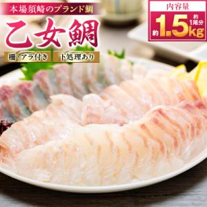 ふるさと納税 須崎市 【本場須崎のブランド鯛】 乙女鯛 刺身 柵 アラ付き 1尾 セット 1.3kg...