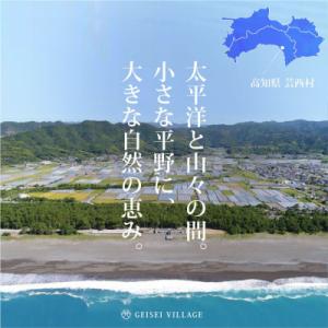 ふるさと納税 芸西村 令和8年産 新米 芸西米...の詳細画像2