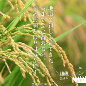 ふるさと納税 芸西村 令和8年産 新米 芸西米...の詳細画像3