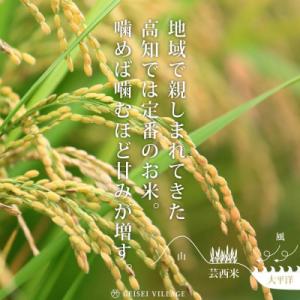 ふるさと納税 芸西村 令和8年産 新米 芸西米...の詳細画像3