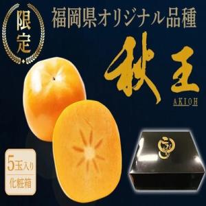 ふるさと納税 大木町 【2026年10月下旬〜11月発送】福岡県産 秋王 約1.75kg 5玉入り