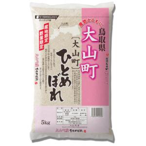 ふるさと納税 伯耆町 鳥取県産ひとめぼれ 5kg×2袋