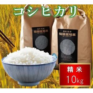 ふるさと納税 越前市 令和7年度 特別栽培米 コシヒカリ　10kg